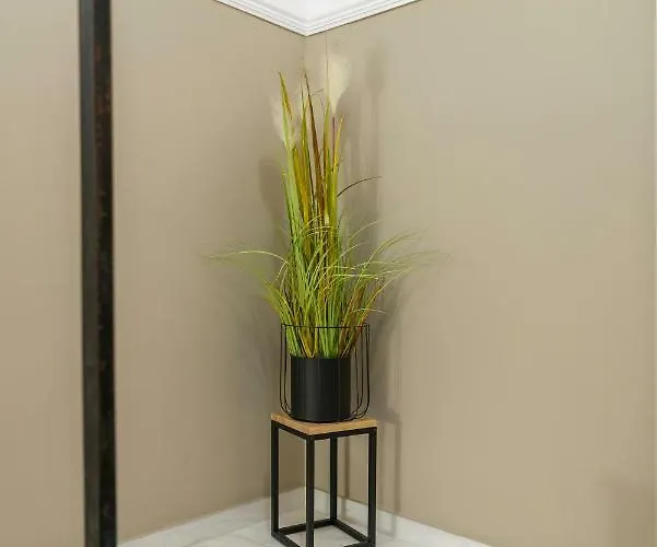 Anaria Gold Apartamento Ermoupoli